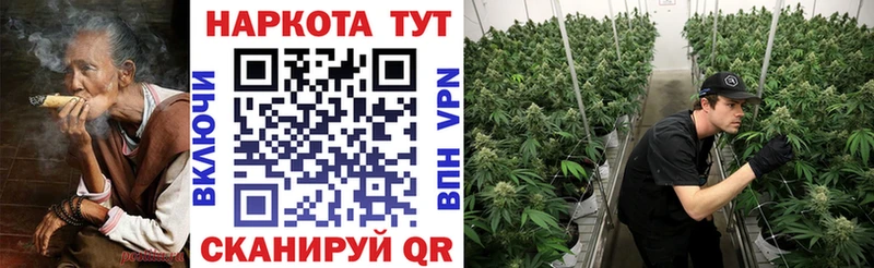 Хочу наркоту Шадринск Героин Alpha PVP ГАШИШ Мефедрон omg как войти Конопля