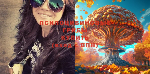 ПСИЛОЦИБИНОВЫЕ ГРИБЫ Армянск